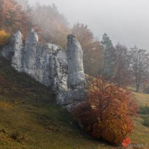 Felsnadel im Großen Lautertal Münsinger Alb