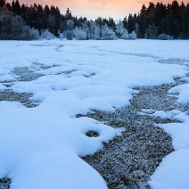 Im Moor Hinterzarten