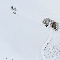 Verschneiter Feldweg Münstertal
