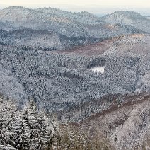 Blick in den Südschwarzwald Geiersnest/St. Ulrich